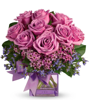 Violet Party 
