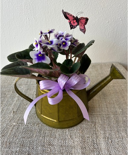 Violet Watering Can 