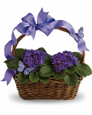 Violets & Butterflies T92-3 14.5"(w) x 14.5"(h)