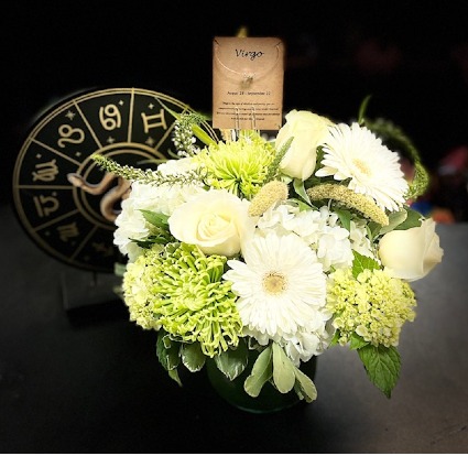 Virgo 8-23/9-22 Zodiac Collection