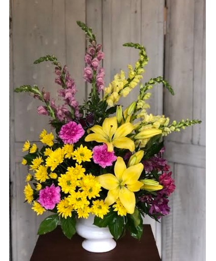 Vivid Recollections T218-4A