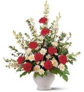 Vivid Sentiments - 185 sympathy 