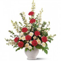 S100 - Vivid Sentiments Arrangement