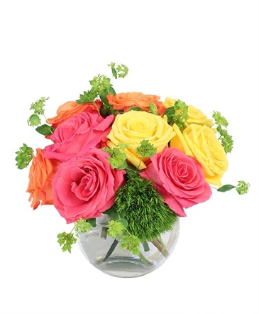 Vivid Sorbet Rose Arrangement in Philadelphia, PA | QA Test Account