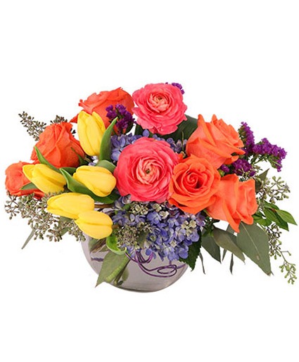 Vivid Splendor 