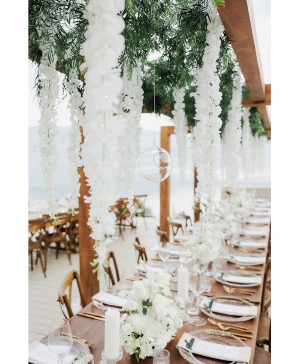 Vows & Vines Vineyard 