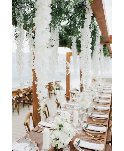 Vows & Vines Vineyard 