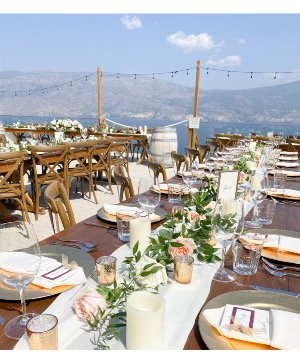 Vows & Vines Vineyard 