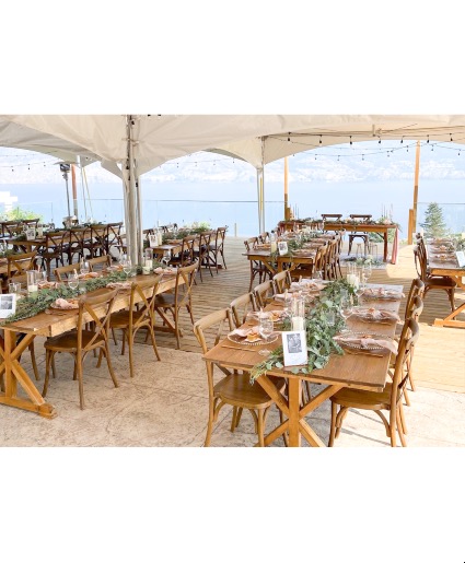 Vows & Vines Vineyard 