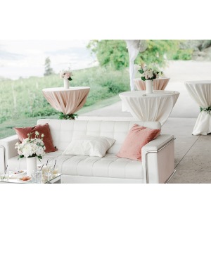 Vows & Vines Vineyard 