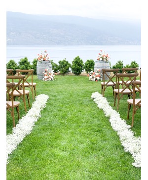 Vows & Vines Vineyard 