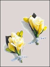 Freesia Buttonhole Wedding Boutonnieres