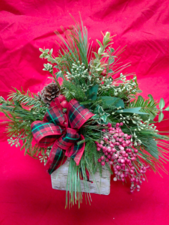 Walk in the Woods Fresh Evergreens