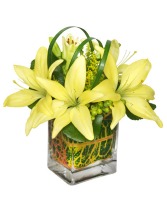 WALKING ON SUNSHINE Arrangement