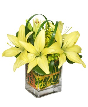 WALKING ON SUNSHINE Arrangement