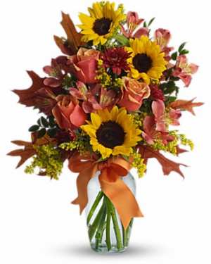 Warm Embrace T571-1 13"(w) x 16.5"(h)