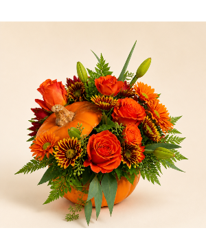 Warm Fall Pumpkin 