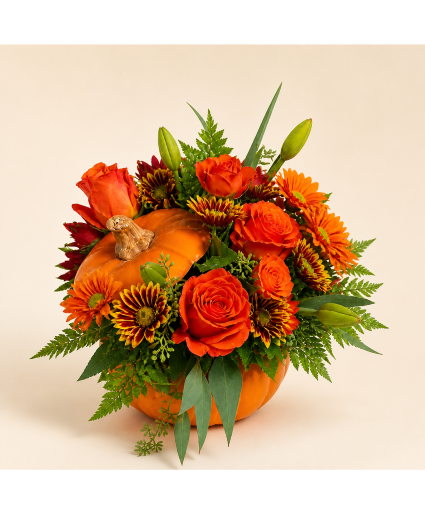 Warm Fall Pumpkin 