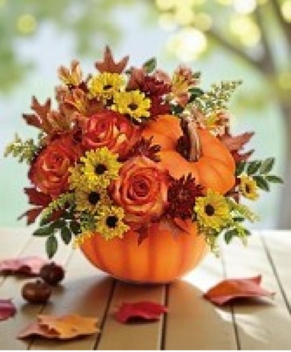 Teleflora's Warm Fall Wishes Fall