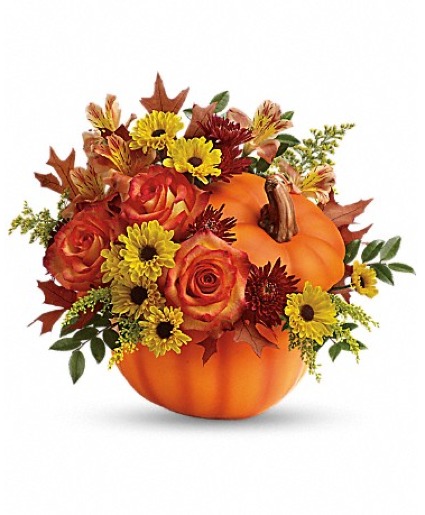Warm Fall Wishes Fall