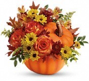 WARM FALL WISHES Fall Arrangement