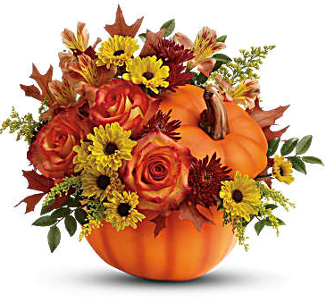 Warm Fall Wishes Pumpkin Real locally Grown 