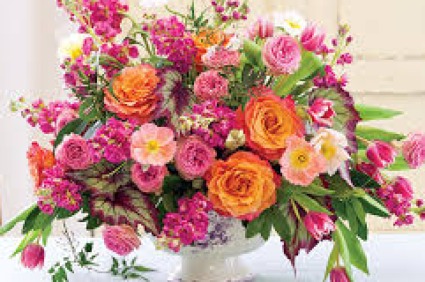 warm love  roses 