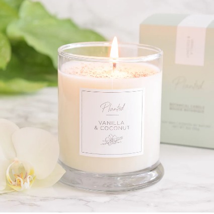 Warm Vanilla and Coconut Planted Candle 