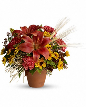 Warm Welcome T566-1 14.5"(w) x 12.5"(h) 