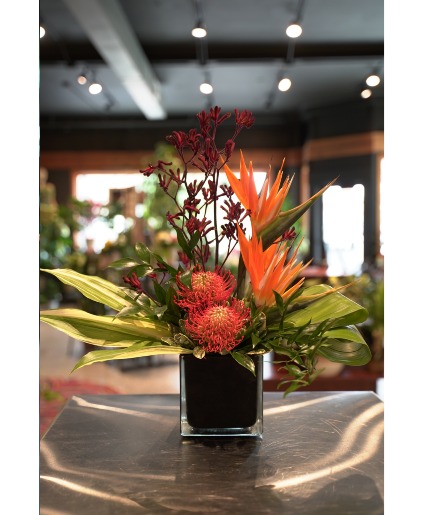 Warm Wishes  Tropical Design