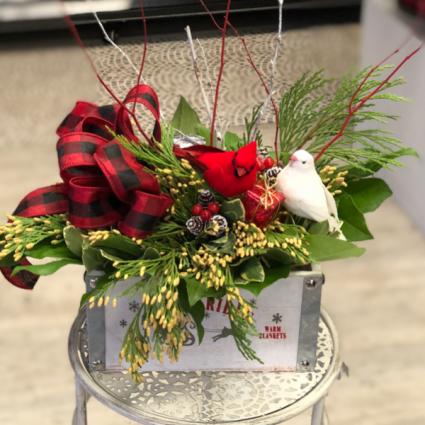 Warm Wishes Xmas Greens Arrangement 