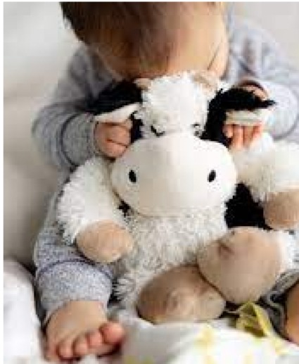 Warmies Plush Animal