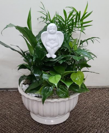 Watching Over Us Dish Garden FHF-124 Assorted Plants (local only)