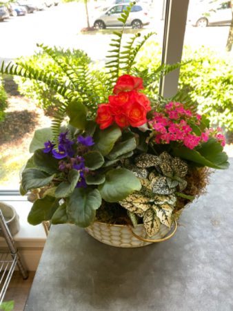 Waterfall Garden 