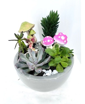 Medium Succulent Fairy Garden in Ceramic Plant
