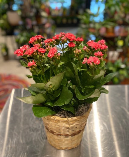 PARKWAY FLORAL INC.
