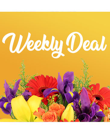 Weekly Deal Custom Arrangement in Bridgeport, TX | MARIA'S FLOWER & GIFT SHOP