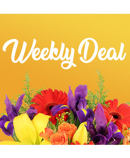 Weekly Deal Custom Arrangement