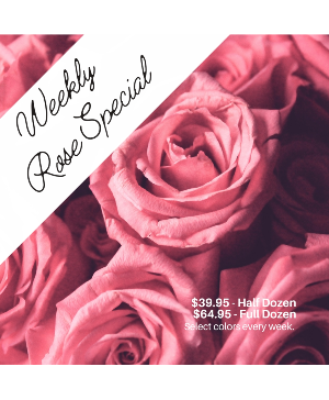 WEEKLY ROSE SPECIAL 