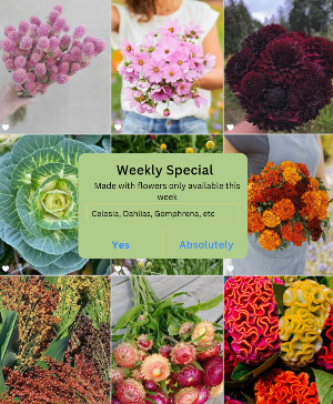 Weekly Special basket arrangement