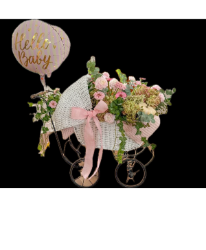 Welcome Baby  