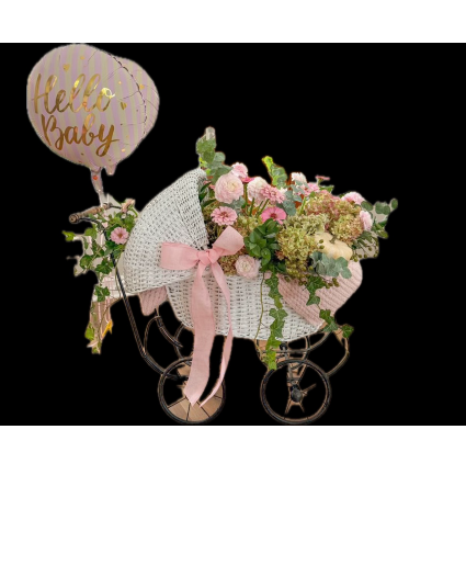 Welcome Baby  