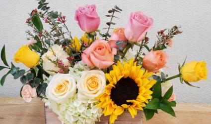 Welcome Baby-pink & yellow New Baby