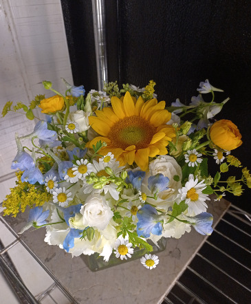 Low Baby Boy  Arrangement in Glastonbury, CT | THE FLOWER DISTRICT