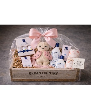 Welcome, Little Lady Gift Basket