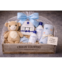 Welcome, Little Man Gift Basket