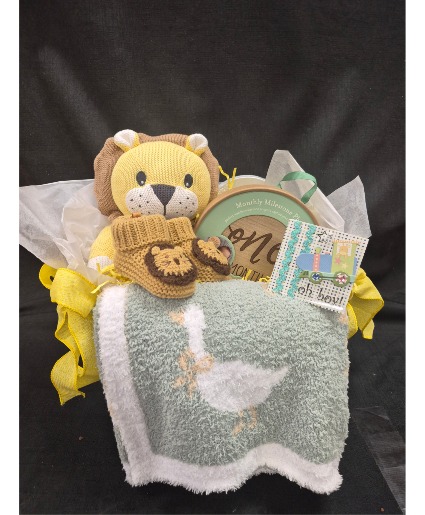 Welcome New Baby Boy! Gift Basket