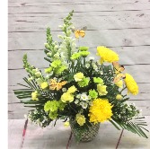 When A Butterfly Passes By 