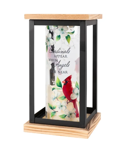When Cardinals Appear Lantern 