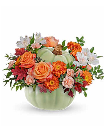Whimsy Pumpkin Arrangement in Winnipeg, MB | CHARLESWOOD FLORISTS